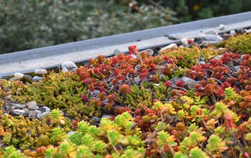 the cost of Tarnock green roof installation